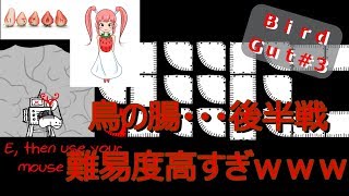 Bird Gut③　難しいすぎる・・・