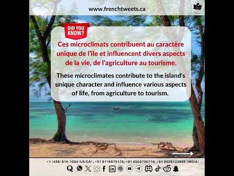 🌴Mauritius: 27 microclimates, endless experiences — where every breeze tells a different story!☀️🌧️🌈