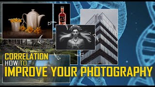 Improve Your Photography - Correlation