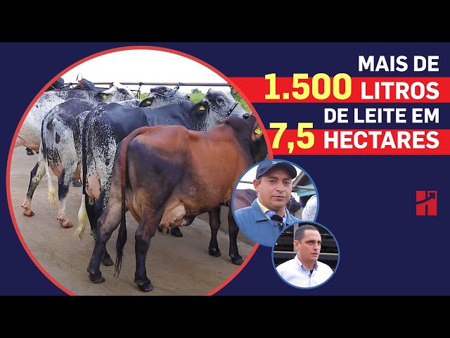 Vídeo sobre o produto #