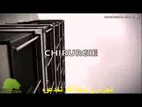 الحقيقة المرة حول مستشفيات الجزائر، التي لا تليق حتى بالحيوانات، و مع ذلك \"مزال واقفين\"