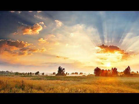 Daniel Brânzei:  Împărăția (4) - Sâmbăta care a schimbat soarta ta