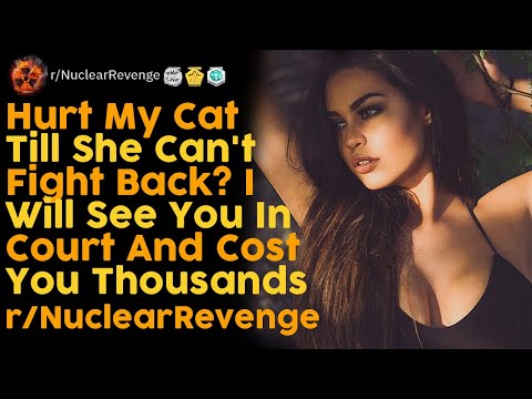 Hurt My Cat Till She Can't Fight Back? I Will See You In Court And Cost You Thousands NuclearRevenge