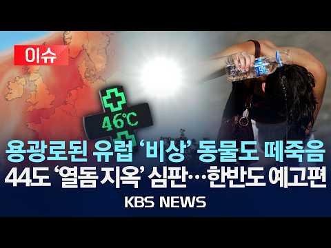 [이슈] '살인 열돔' 갇힌 유럽..."타 죽어" 생지옥/'적색 경보' 사망 속출...한반도 예고편/2026년 6월 27일(토)/KBS