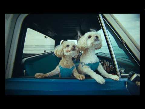 KAZ / T&W (Music Video)