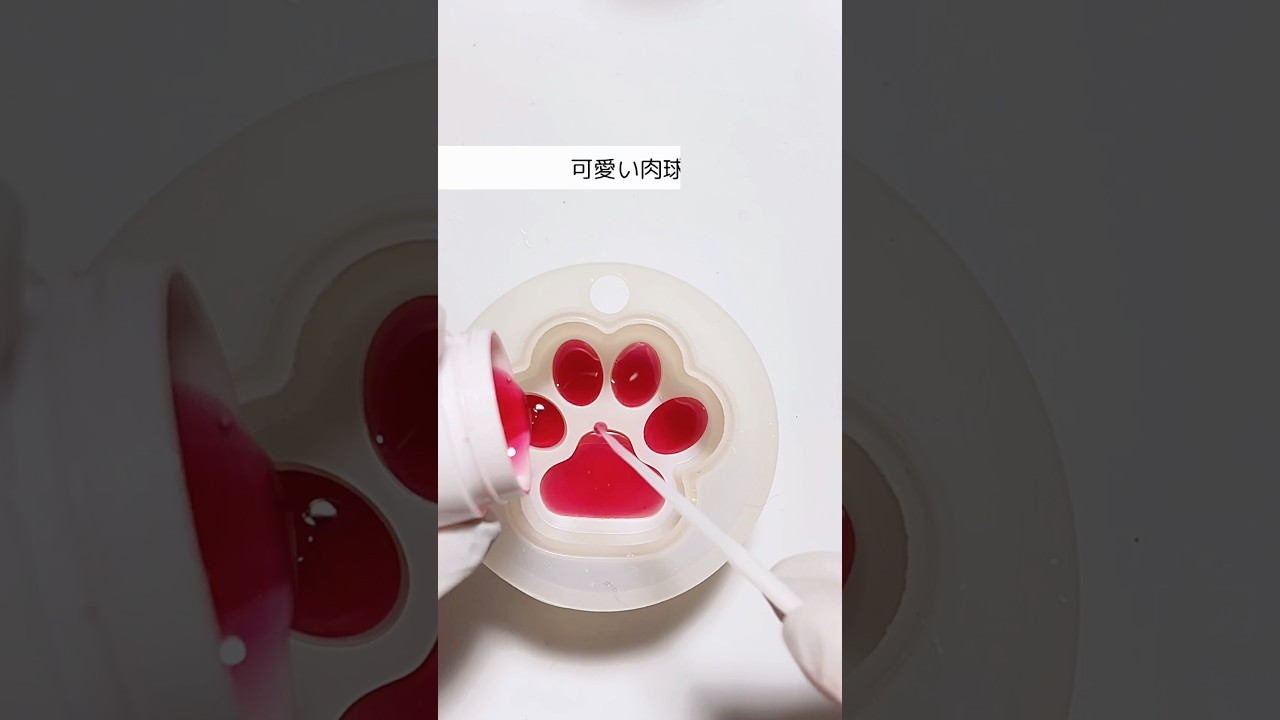 亡くなった愛犬の毛を使って置き物みたいなのって作れますか？ご依頼を受けて作った思い出の肉球ハーバリウム🐾#レジン#resin#ペットロス #愛犬#handmade