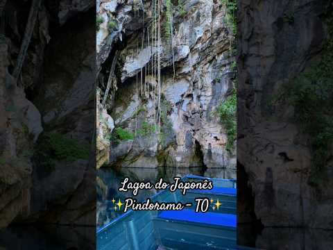 A Lagoa do Japonês é uma experiência incrível de se viver nas Serras Gerais do Tocantins 🌿✨
