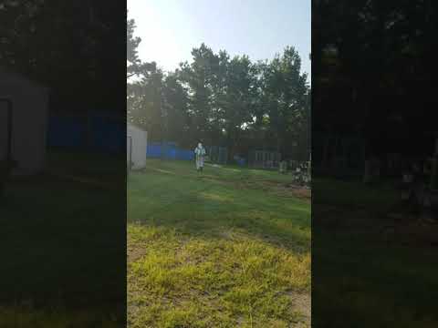 20190729 Part 2 Hornet Nest Removal