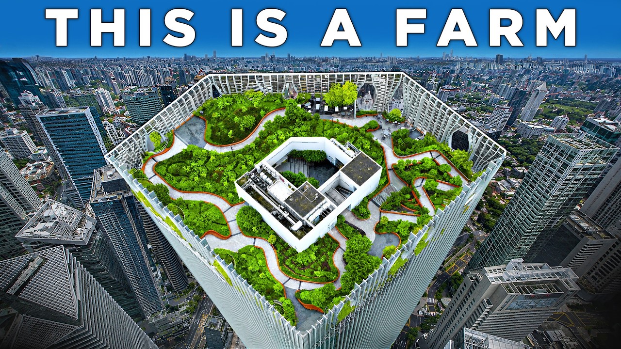 Inside Singapore's Sky Farms