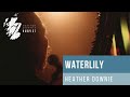 'Waterlily' - Beautiful Song by Karine Polwart performed with harp by Heather Downie