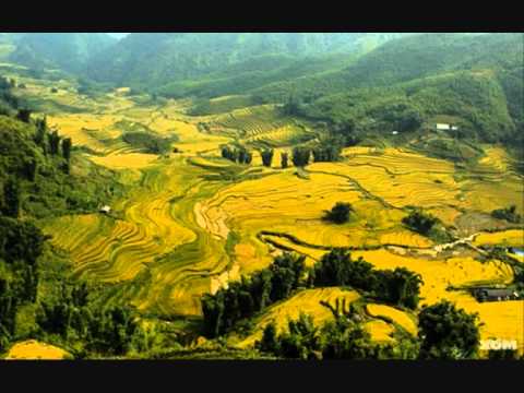 Đôi mắt Pleiku - Siu Black