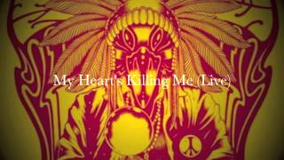The Black Crowes My Heart's Killing Me Live