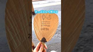 「うちわ」がフリーきっぷとして使える！#讃岐うどん #温泉 #香川県