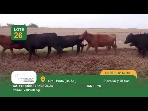 Lote M Y H - Gral Pinto Bs As