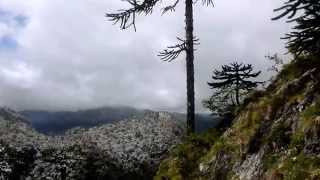 preview picture of video 'VISIT CHILE: National Park Huerquehue Hiking San Sebastian'