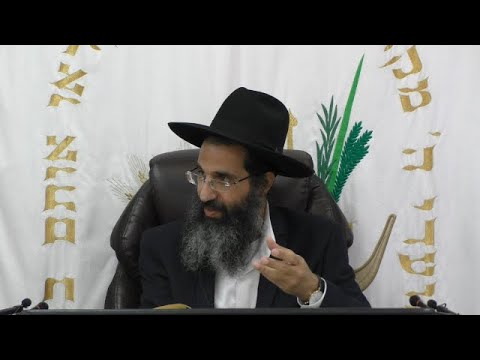 מהלכות חול המועד 🧺 הרב שי עובד | שני - חול המועד סוכות - תשפד