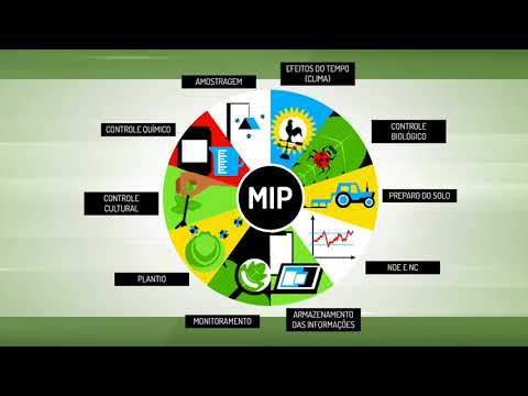 Manejo Integrado de Pragas - MIP