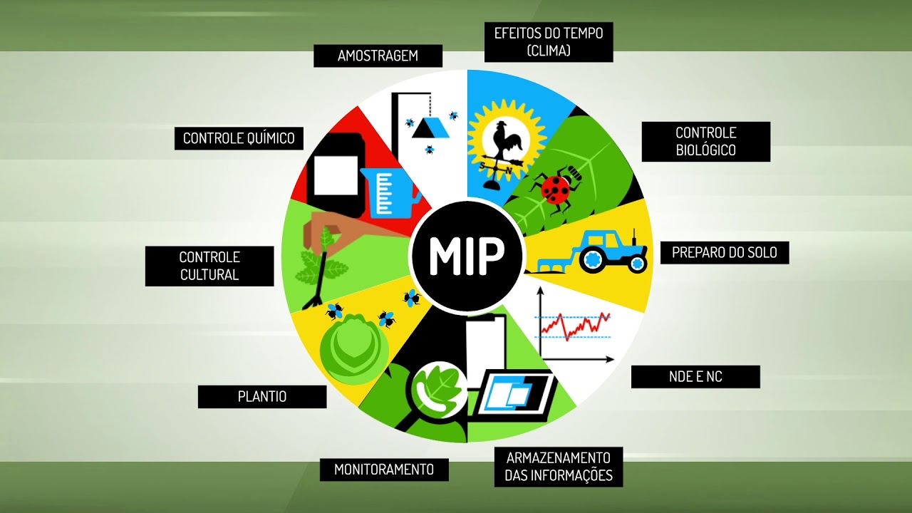 Manejo Integrado de Pragas - MIP