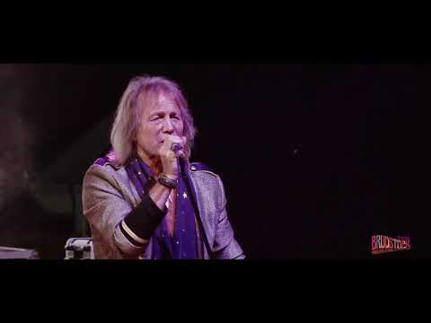 22° BRUDSTOCK - LEAF_HOUND