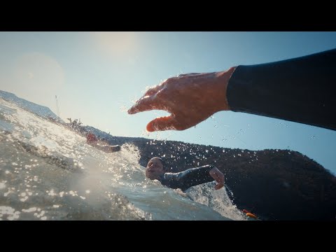 영하 4C 펭귄은 없었다?!