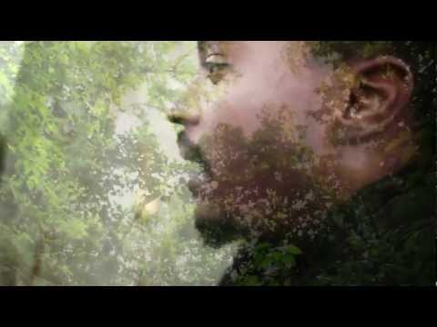 LITTLE DI LION  LIFE IS PRECIOUS Officiel video clip 2013