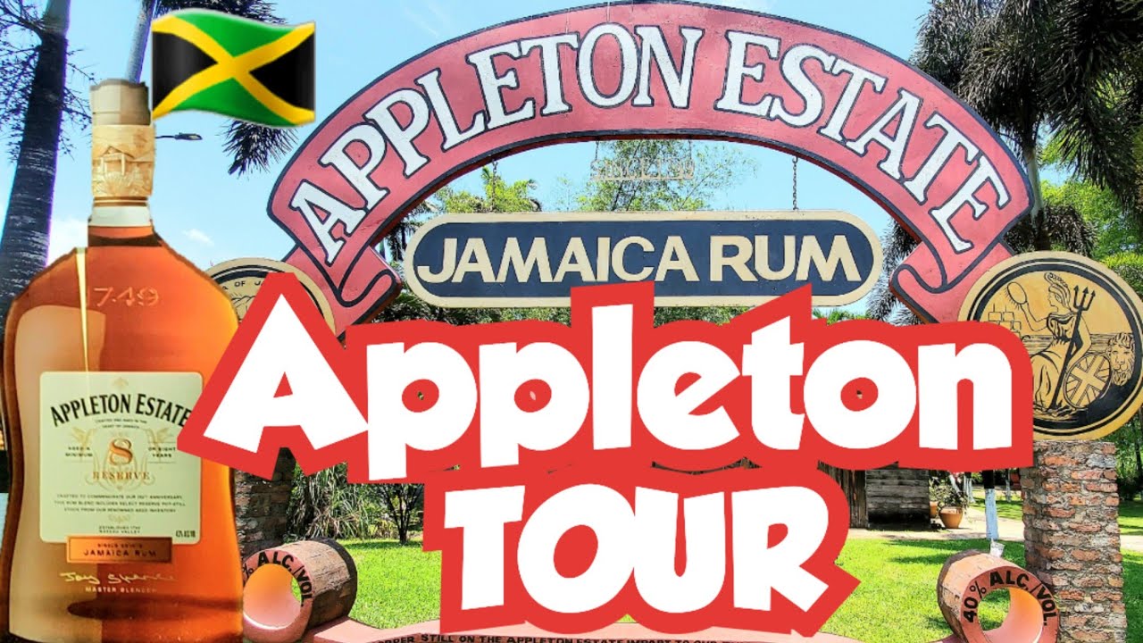 Appleton Estates - Jamaica Rum Tour #jamaica #viator #excursions #wlnlw