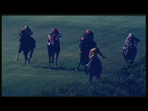 Galoppo 29/08/2020 - 6ª corsa