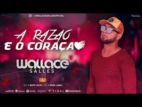 Wallace Salles - A razão e o coração