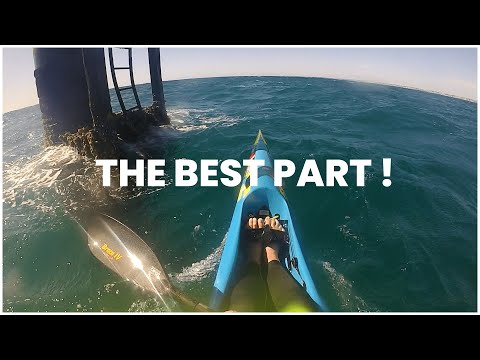 THE DANGEROUS DOCTOR | SHAW AND PARTNERS