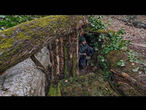 3 Tage Bushcraft Wintercamping im Schnee mit meinem Hund, Bau einer warmen Überlebensunterkunft