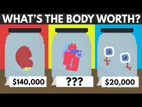 How Much Is The Human Body Worth?