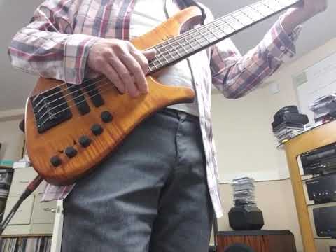 Fearless F212 first quick test, with LeFay Singer 5-string bass and Jule Monique amp