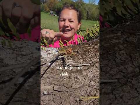 Impresionados con la Bodega Cerro Chateu