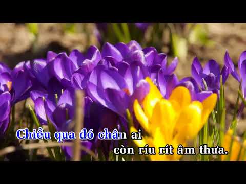 Trên ngọn tình sầu - Quang Dũng karaoke