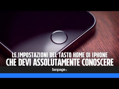 Metodi di lunghezza del pene ingrandimento Vision solleva il toro di video martello