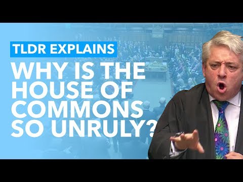 What Actually Happens in the House of Commons?
