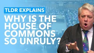 What Actually Happens in the House of Commons?...