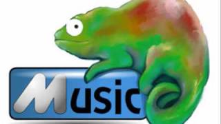 Top 12 Songs for your iPod for 2011.