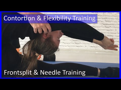 30 Flexyart Contortion: Front Splits and Needle Training - Also for Yoga, Pole, Ballet, Dance People