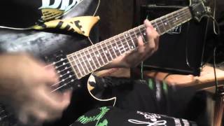 Miss May I - Echoes (Guitar Cover)