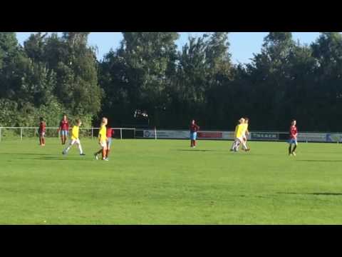 Overbos JO12-4 - Geel Wit JO12-2 (10-09-2016)