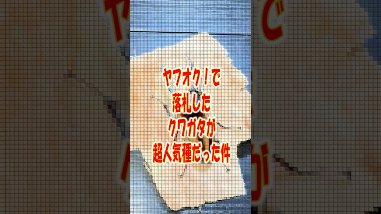 ヤフオクで落札したクワガタが超人気種だった件.#shorts