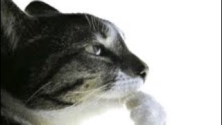 Bloodbath 42-100 (im so tuff)