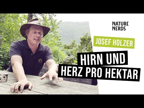 Video-Thumbnail von YouTube