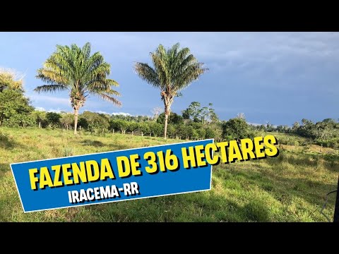 🔰 Fazenda de 316 hectares na região de Iracema em Roraima, ÓTIMA OPORTUNIDADES !!!!!