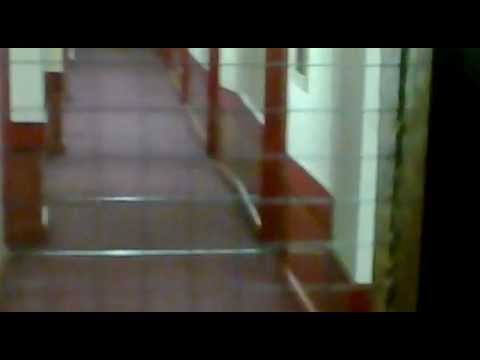 Stupid things Johan Stone