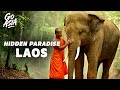 Exploring LAOS: Why Is it Called The Land of a Million Elephants? | Documentary AMP