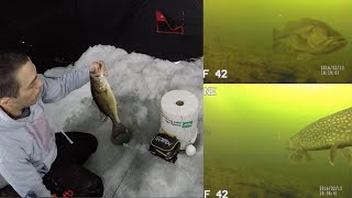 ICE FISHING with UNDERWATER CAMERA - Walleye, Bass, Pike & Bluegills!