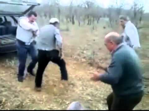 Anarchy In The UK - "El mejor video de internet" remixed with music from Sex Pistols