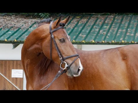 download lagu mp3 mp4 Fauno Rae, download lagu Fauno Rae gratis, unduh video klip Download Fauno Rae Mp3 dan Mp4 Popular Gratis